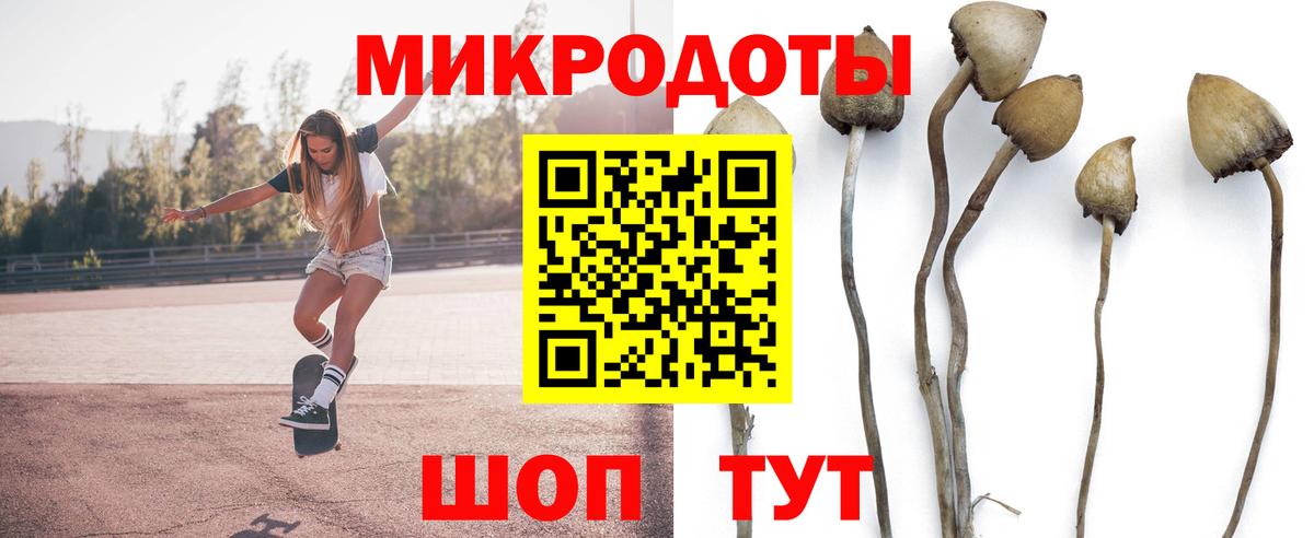Осинники  Псилоцибиновые грибы MAGIC MUSHROOMS  Вход с VPN 